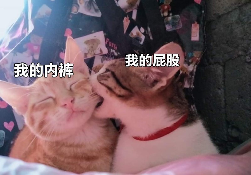 from 如何与沙雕相处-喜迎二十大