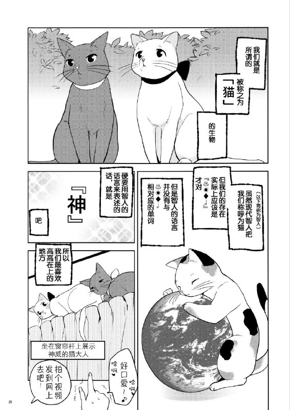 猫的视角里的自己，和撸猫的人类via LDLD 果冻猫的视角里的自己，和撸猫的人类via LDLD 果冻