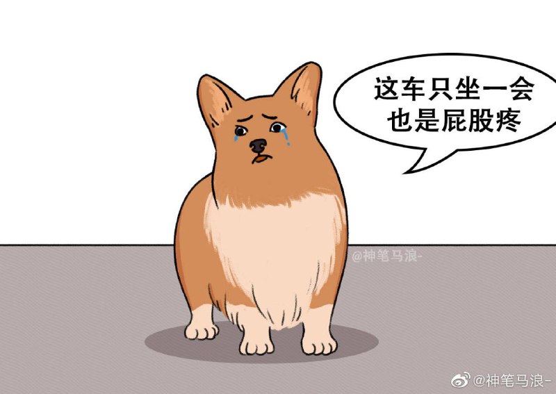#狗狗#狗狗