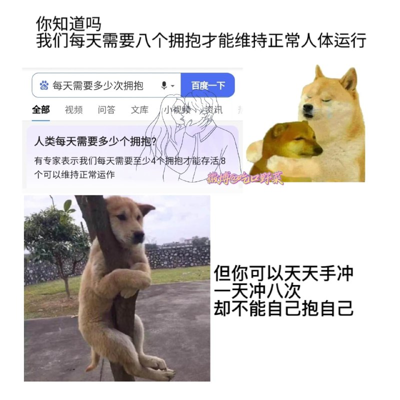 from 平壤卫视 via ㅤ