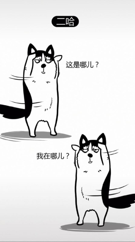 为什么有些狗不能做警犬 #精品为什么有些狗不能做警犬 #精品
