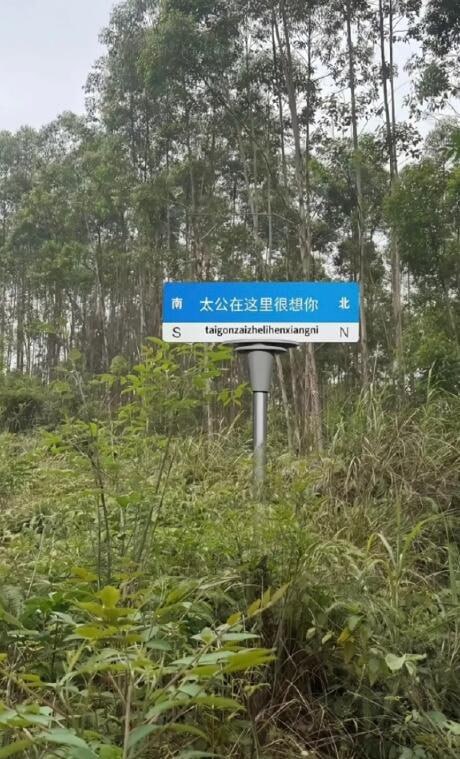 via 7号沙雕网友