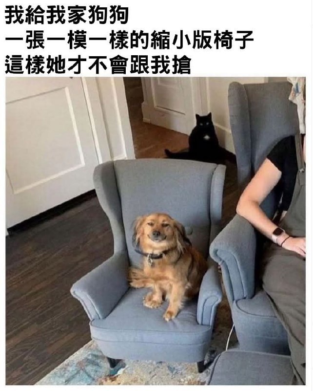 from 什麼都來點 via DECADE