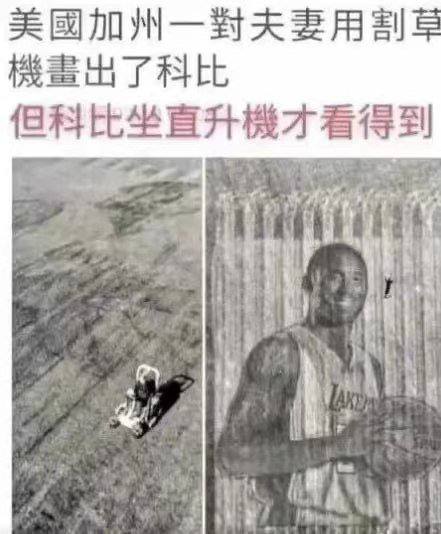 艹from 平壤卫视