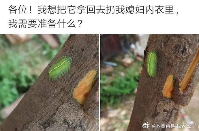 准备后事