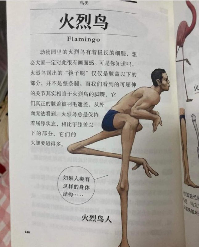 from 警察這裡有大麻ps：频道手动发送投稿