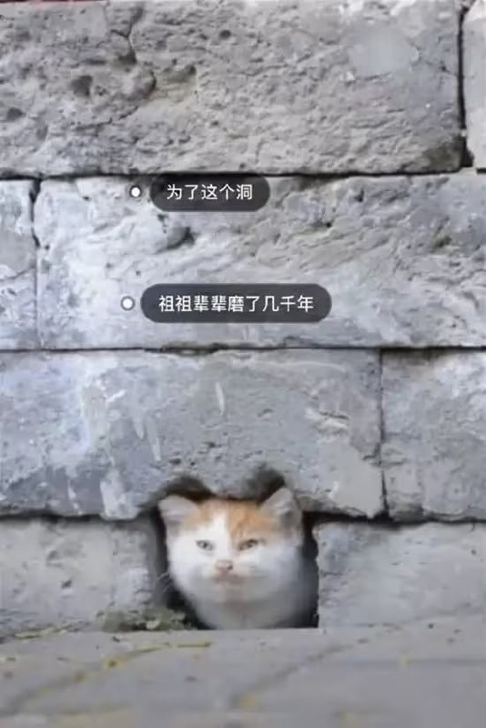 via 7号沙雕网友