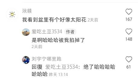 把花掐掉了，把草养大了把花掐掉了，把草养大了