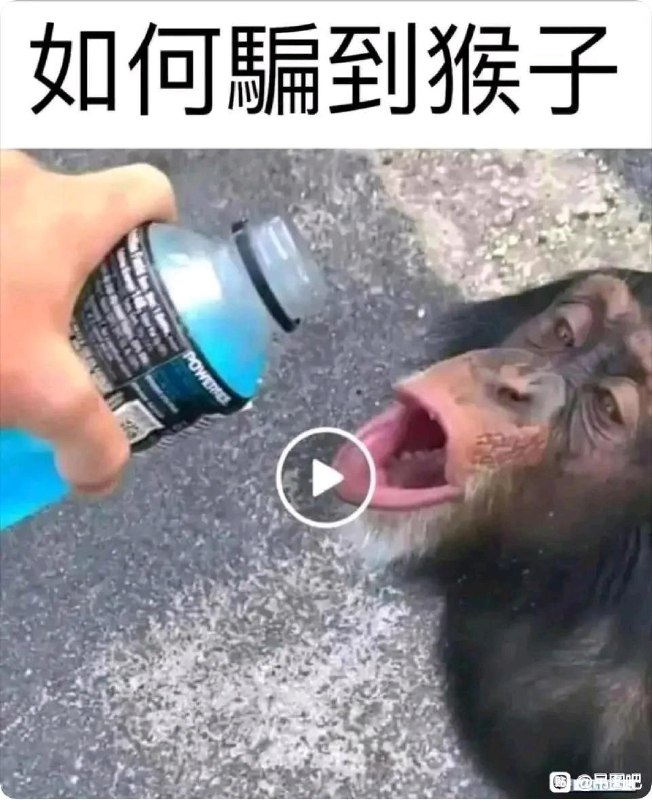 猴子就是这么被骗到的via Husky Zhang