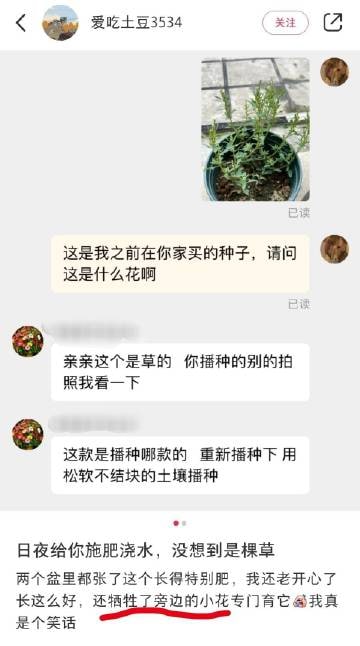 把花掐掉了，把草养大了把花掐掉了，把草养大了