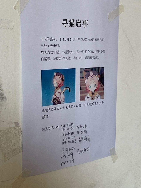 下面这堆签名才是重点from Genshin🇨🇳 原神·中国