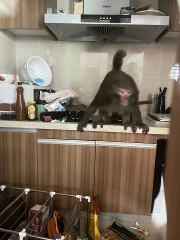 我家住三十多楼（天宫，离黔灵山也非常远