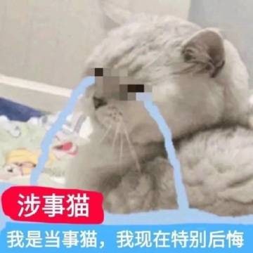 涉事猫咪被当场逮捕，还戴上了一副小手铐涉事猫咪被当场逮捕，还戴上了一副小手铐