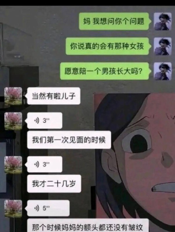 via 犯罪嫌疑人张某