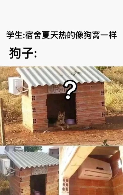 😑from 平壤卫视
