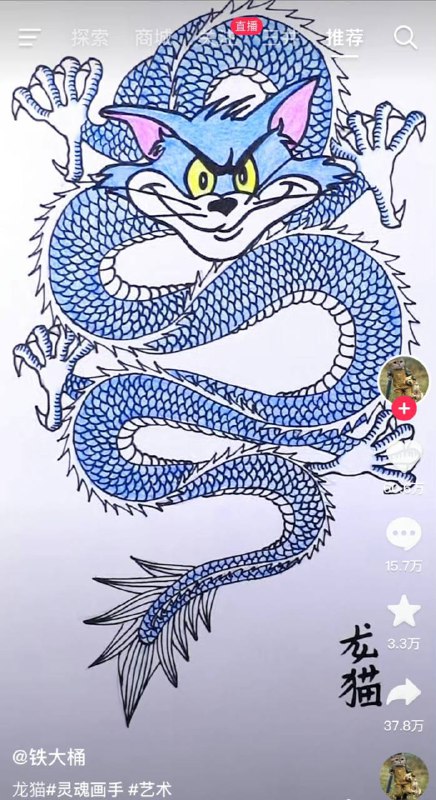 龙猫from 平壤卫视