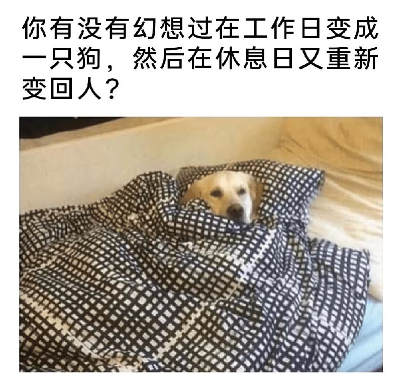 via 7号沙雕网友