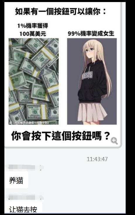 from シュヴィ·ドーラ