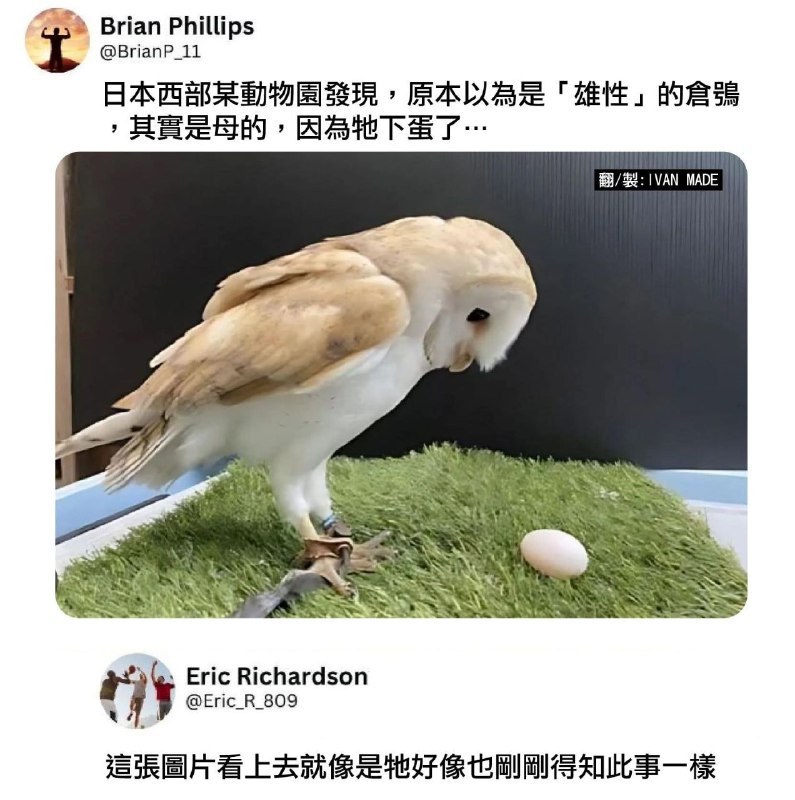 from 什麼都來點 via DECADE