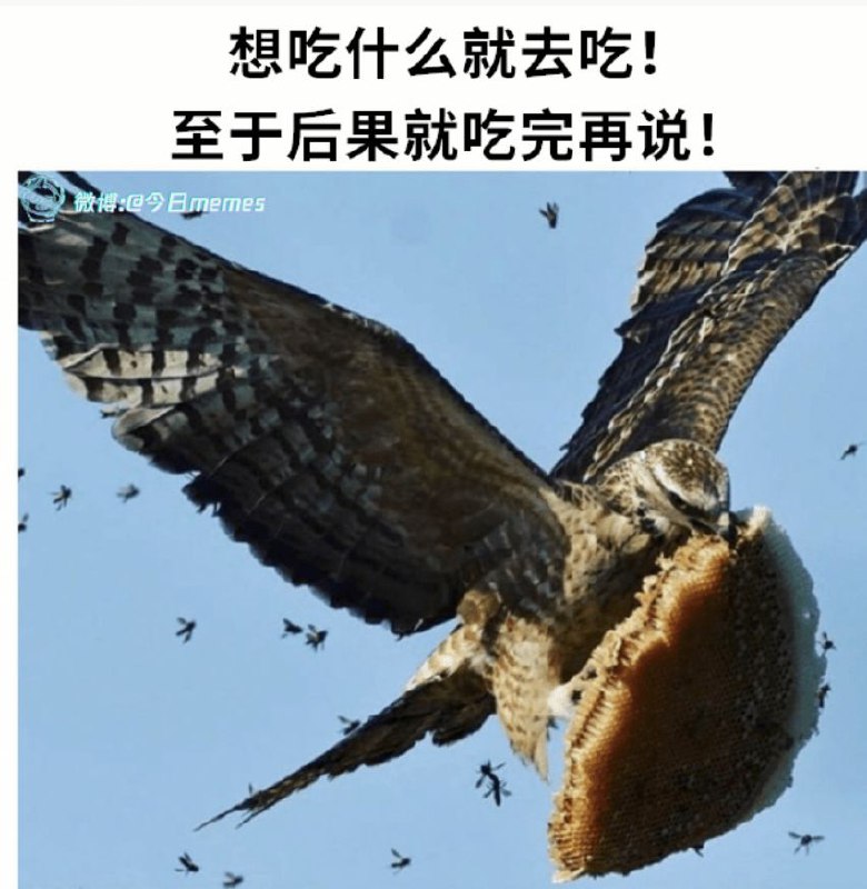 via 匿名from 心惊报