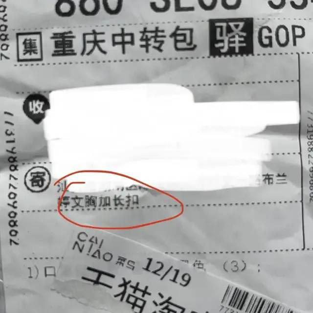 🤬from 平壤卫视🤬from 平壤卫视