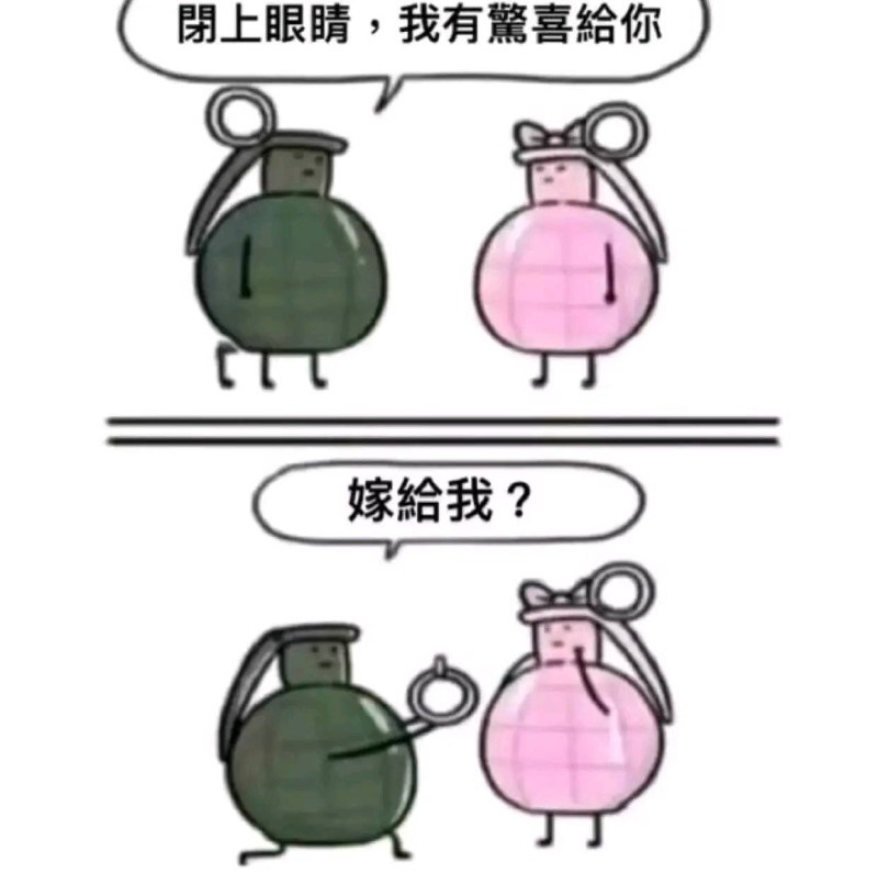 ？from 平壤卫视