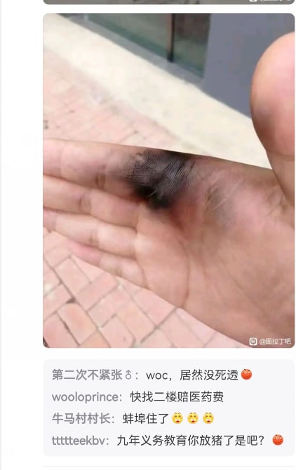 from 心惊报from 心惊报