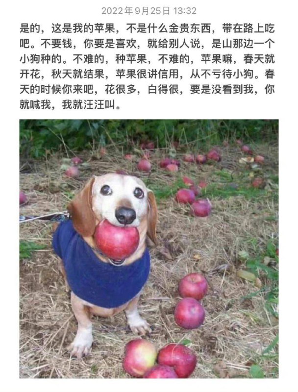 via 张某 犯罪嫌疑人