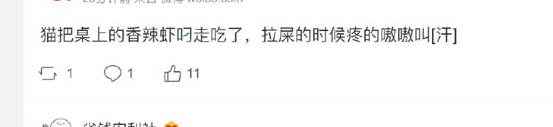 猫吃辣也会辣PY吗from ibuki🎮🎲🔭帰宅部