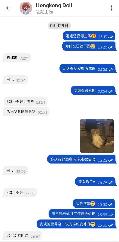 from Rosmontis的笔记本🔅