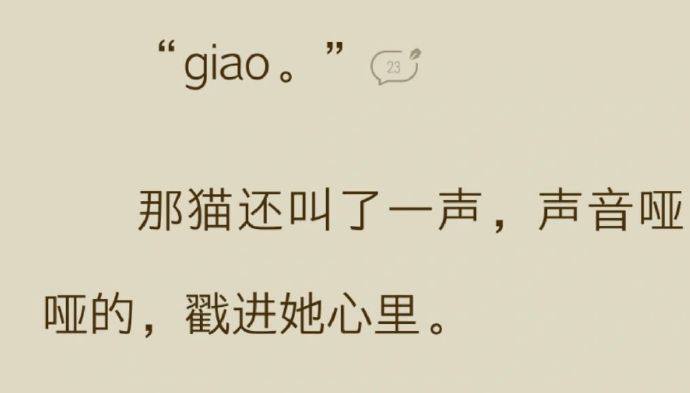 好猫叫from 平壤卫视