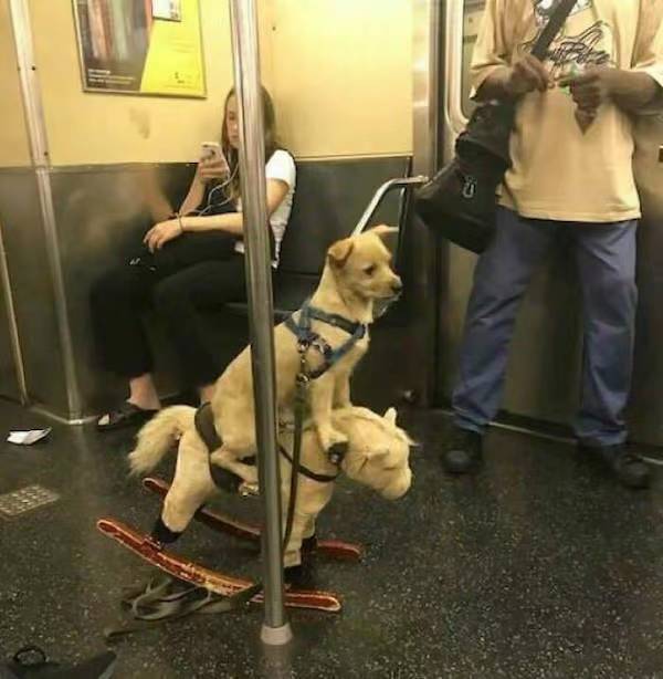 via 每天只睡23hvia 每天只睡23h