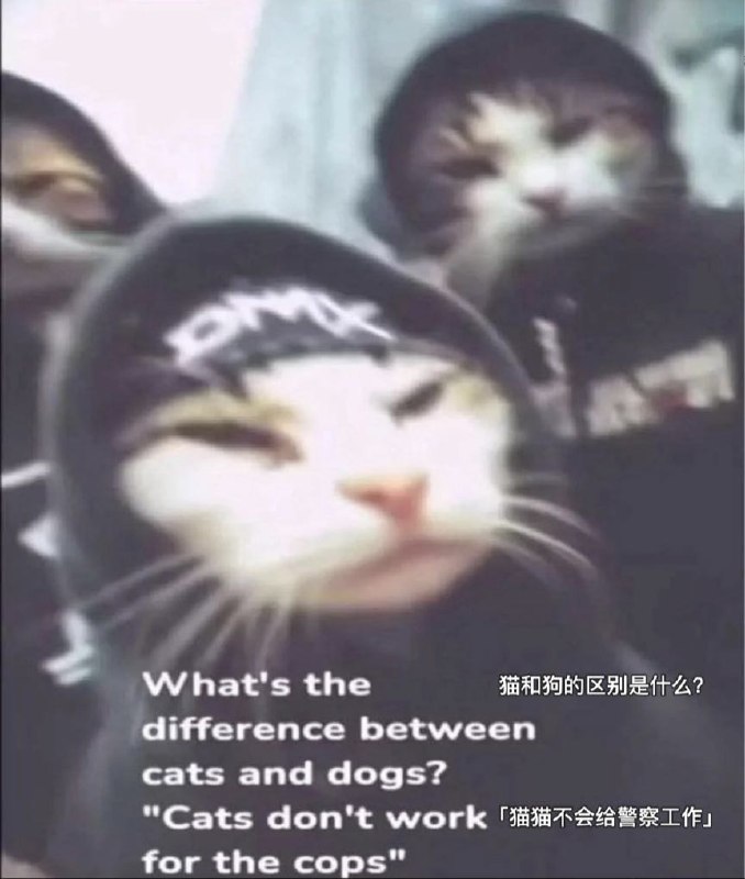 十六夜月华: jandan.net/t/6136583OO: 108 XX: 7hxz: cats got tiny brainsOO: 12, XX: 1from 煎蛋无聊图