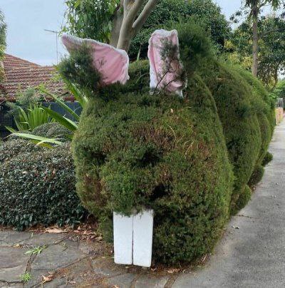 来点绿植via (=^-ω-^=) ㅤ来点绿植via (=^-ω-^=) ㅤ