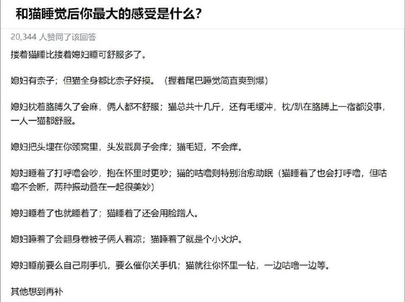 from 阳阳的废话栏