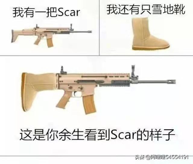 from 什么都能放