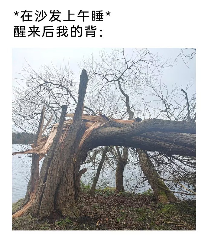 via 7号沙雕网友