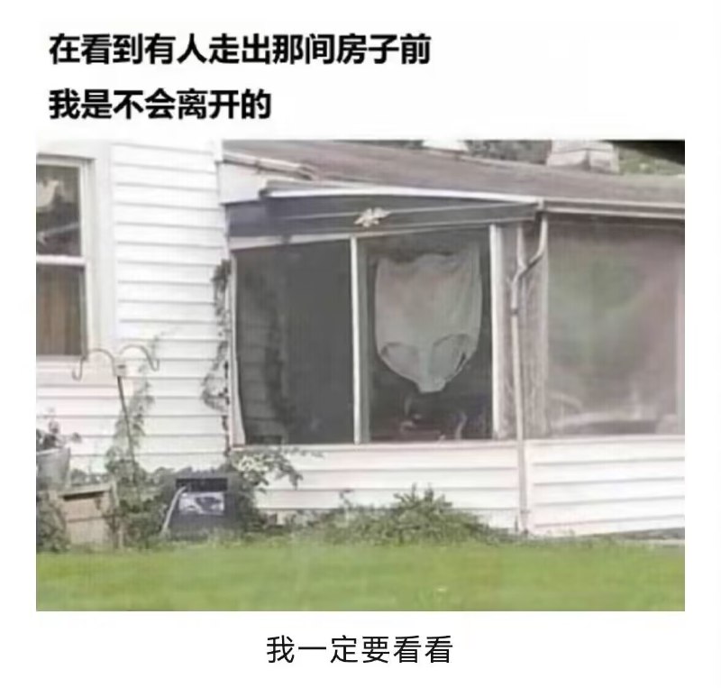 from 美图与沙雕 via Xx Xx