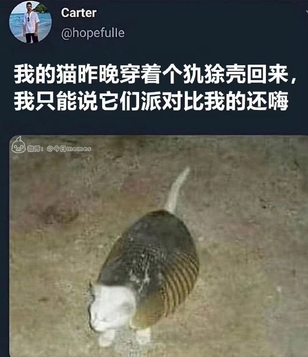 “恕末将甲胄在身，不能施以全礼”