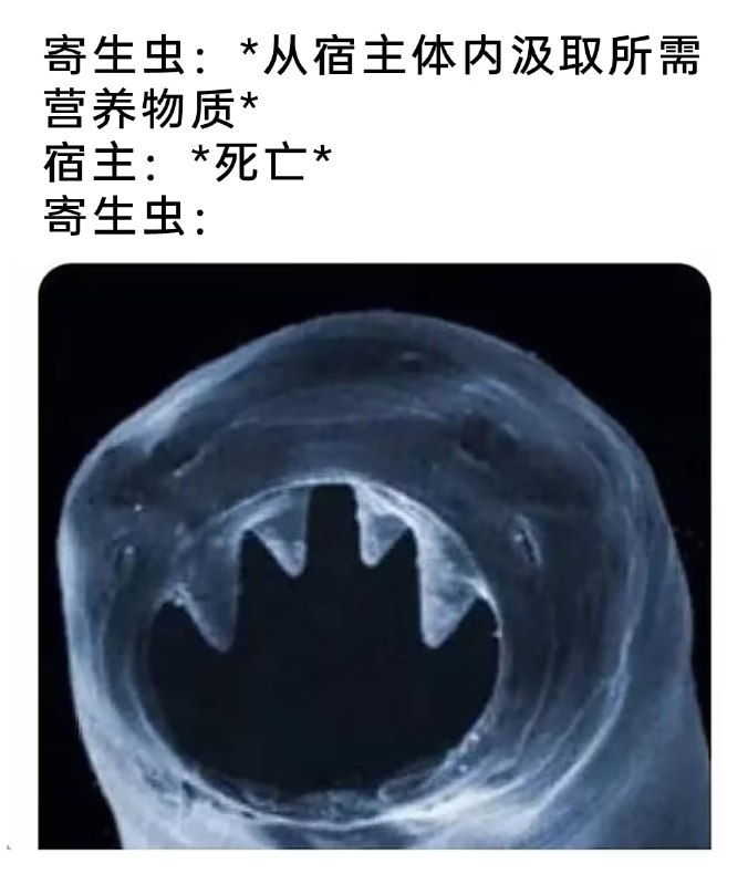 via 7号沙雕网友