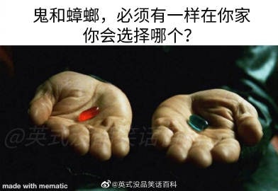 知道该选哪个了吧知道该选哪个了吧