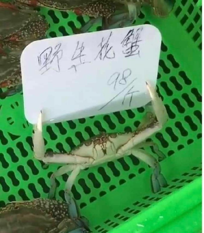 from 平壤卫视 via ㅤ