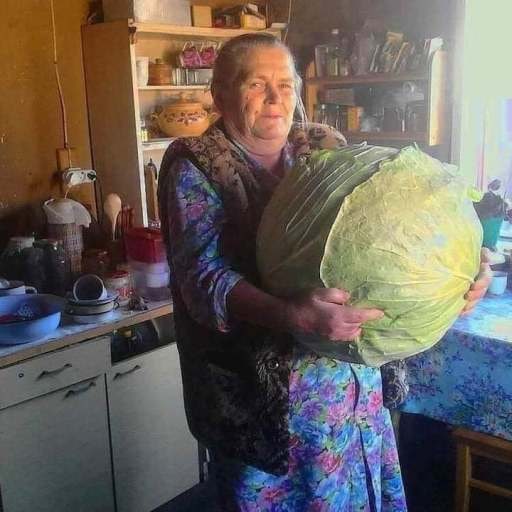 菜的绝对单位