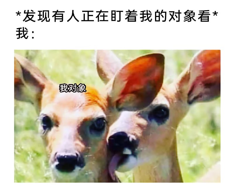 via 7号沙雕网友
