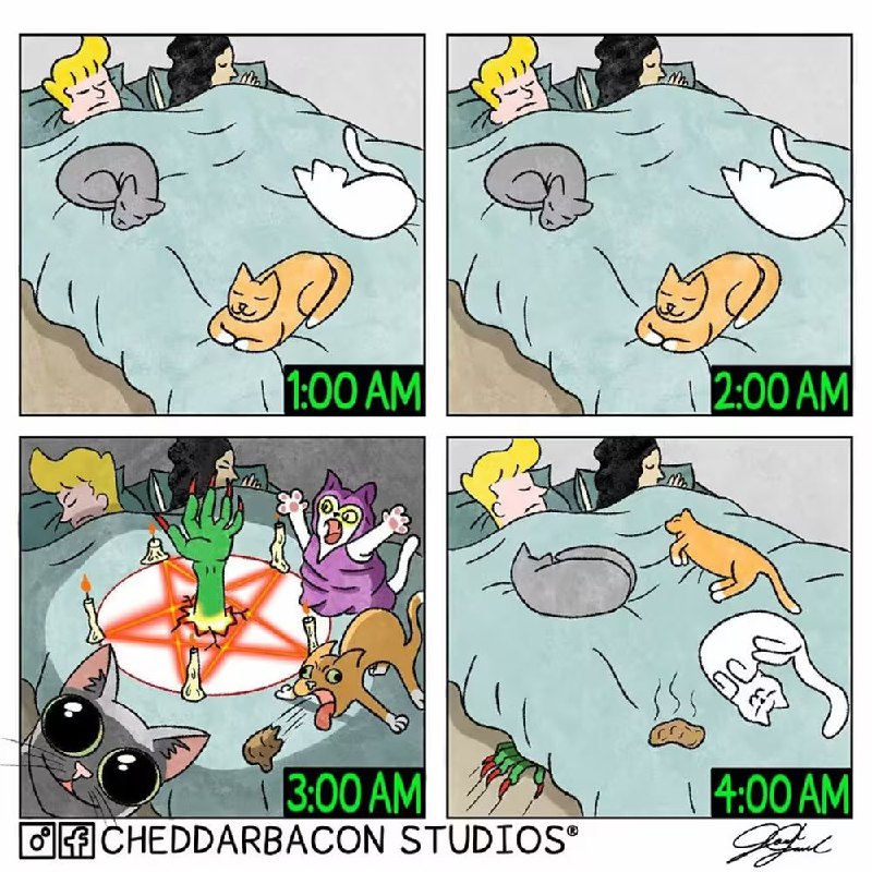 via 7号沙雕网友