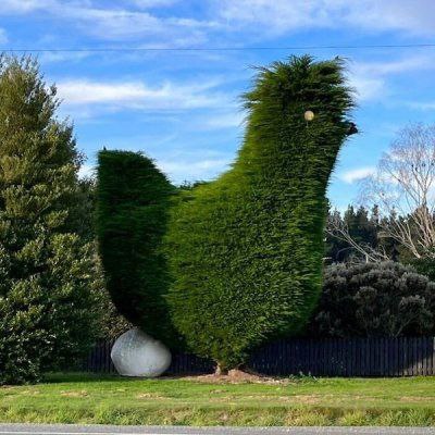 来点绿植via (=^-ω-^=) ㅤ来点绿植via (=^-ω-^=) ㅤ