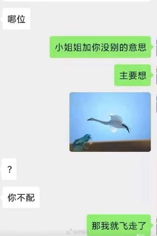 via 竹 取