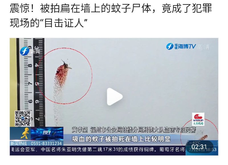via UTermux博客