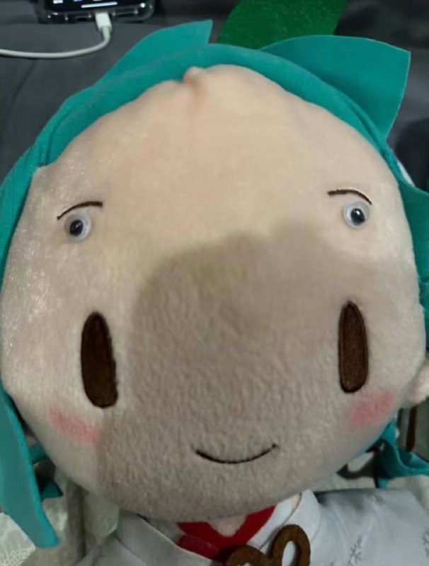 ？from 平壤卫视