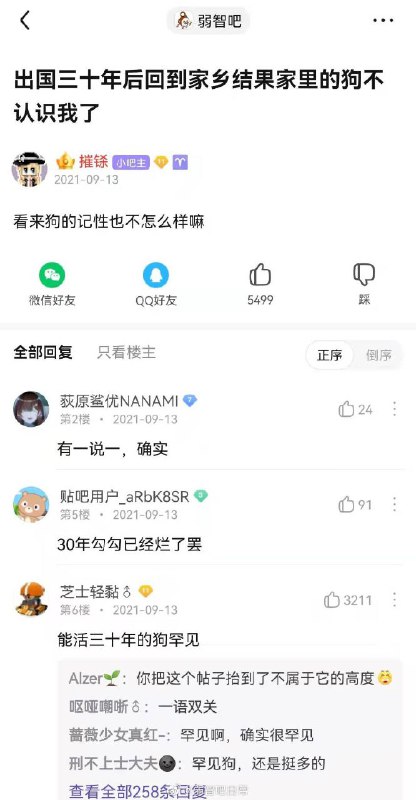 骂谁罕见呢？！(图源:wb弱智吧日常)